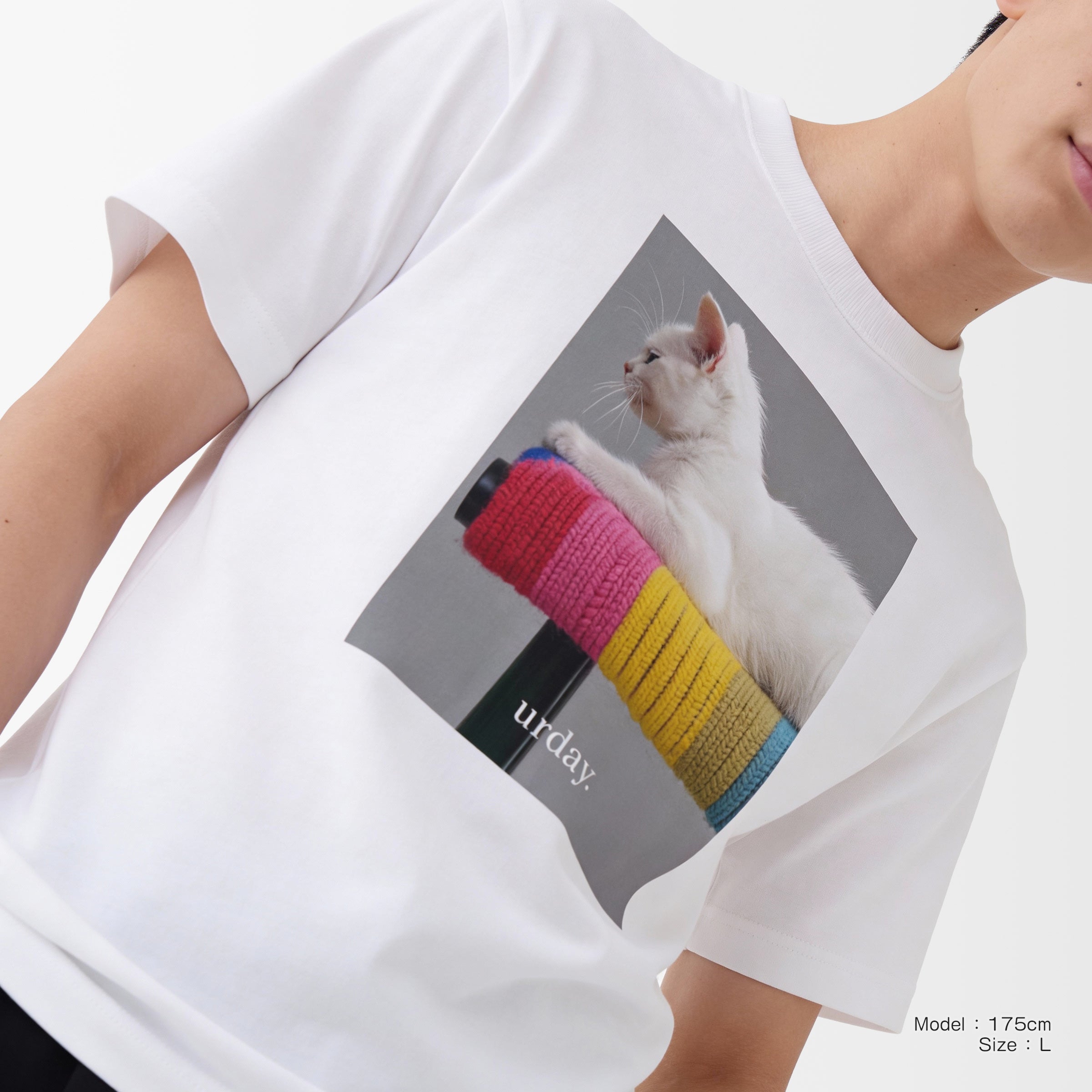 予約：urday【Animal／White Cat／G】フォトTシャツ（1143866