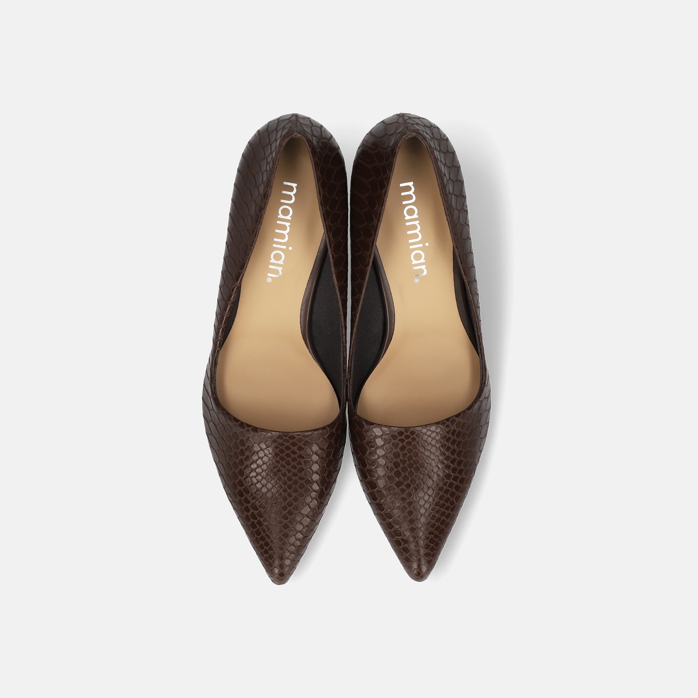 miu miu ダークブラウン パンプス 箱付き 2025AW：サイドコンシャス デザイン パンプス（m45007）ダーク